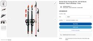small business skis.jpg